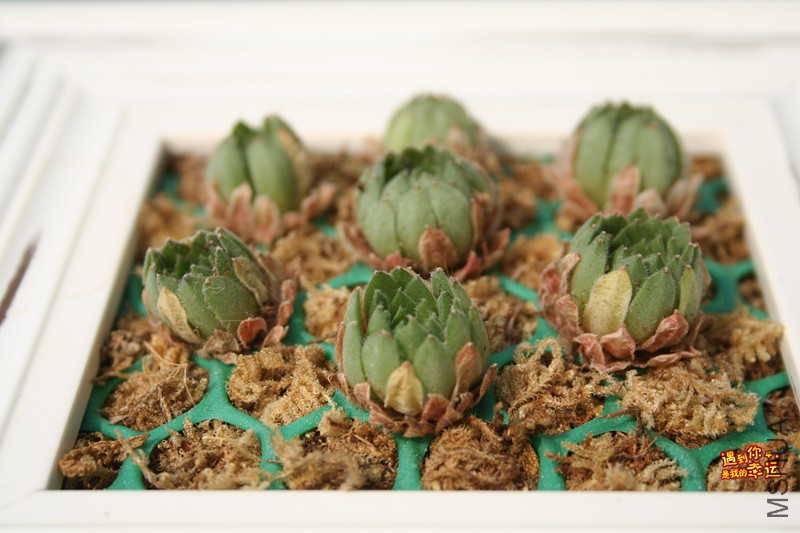 ��Ƭ 049_����.jpg