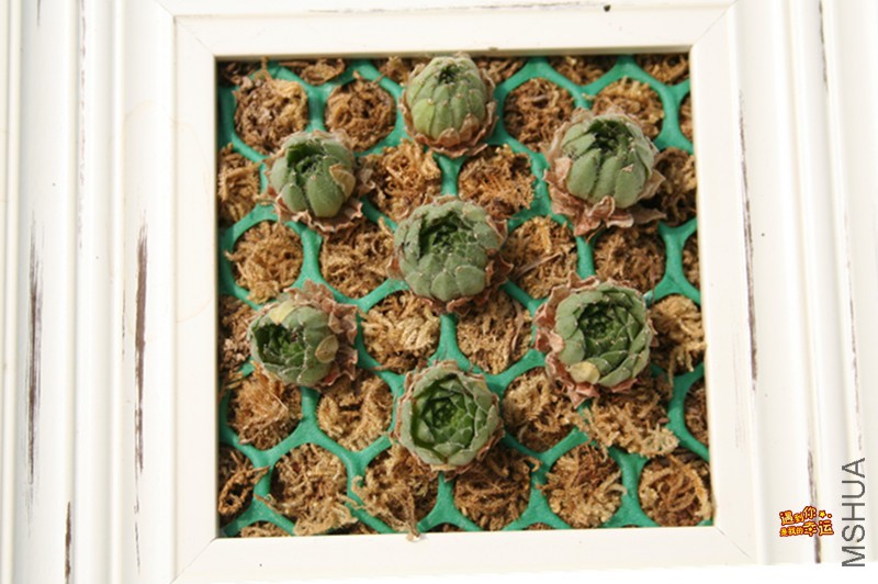 ��Ƭ 046_����.jpg