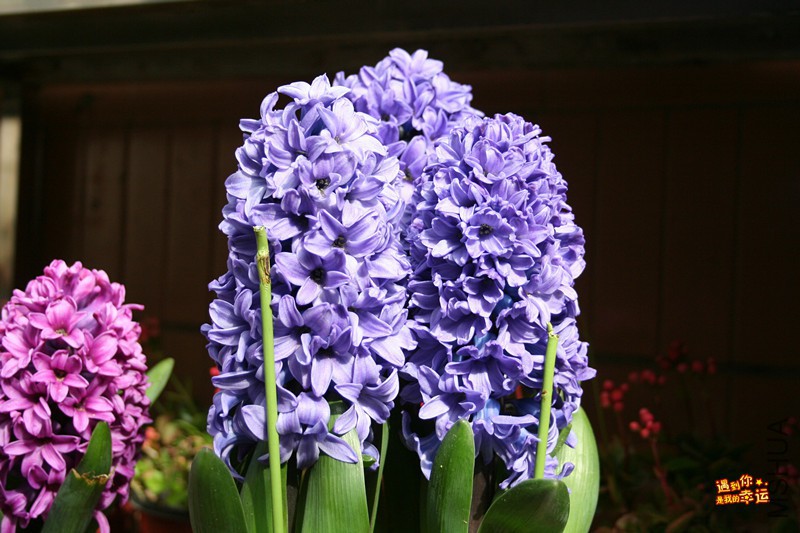 ��Ƭ 016_����.jpg