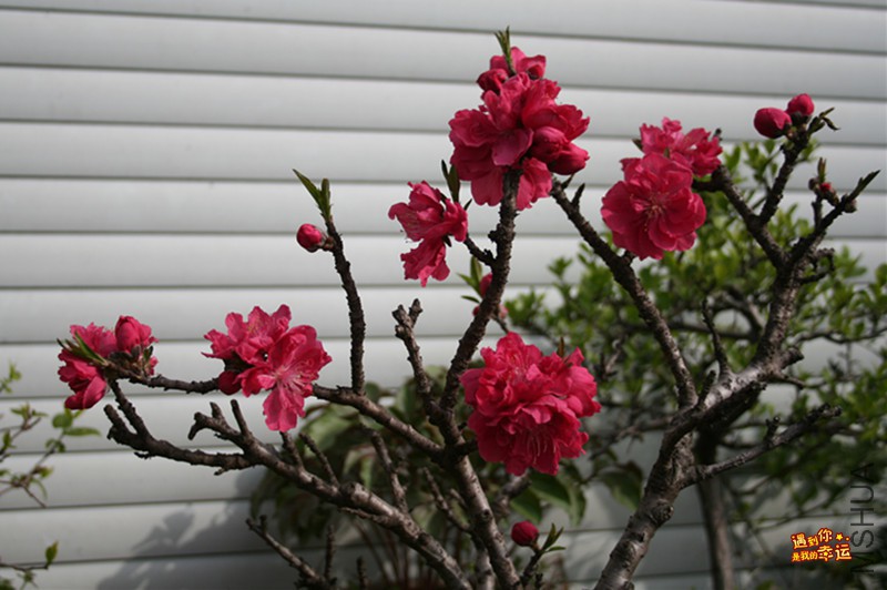 ��Ƭ 001_����.jpg