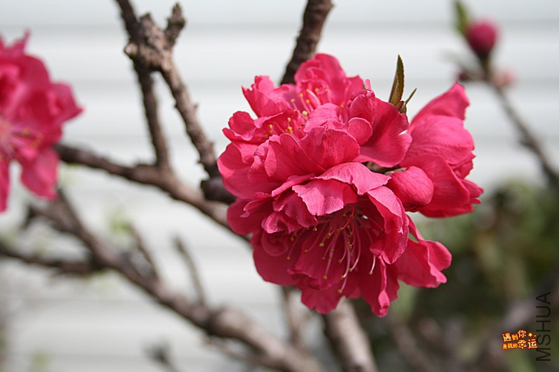 ��Ƭ 003_����.jpg