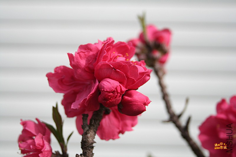 ��Ƭ 004_����.jpg