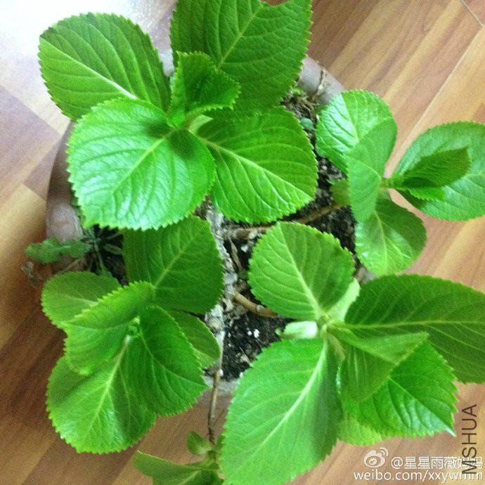 005Efkhpgw1f289i4rupjj31kw1kwnjr.jpg