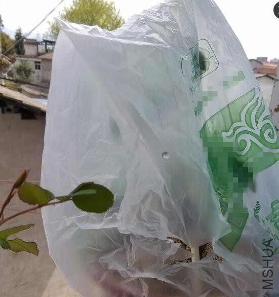 ����������Կ�ή������