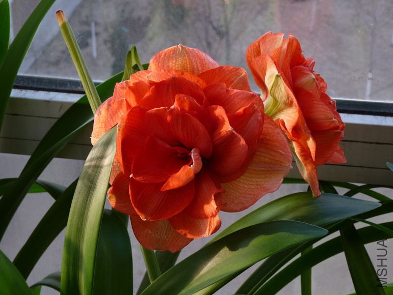 P1030857.JPG