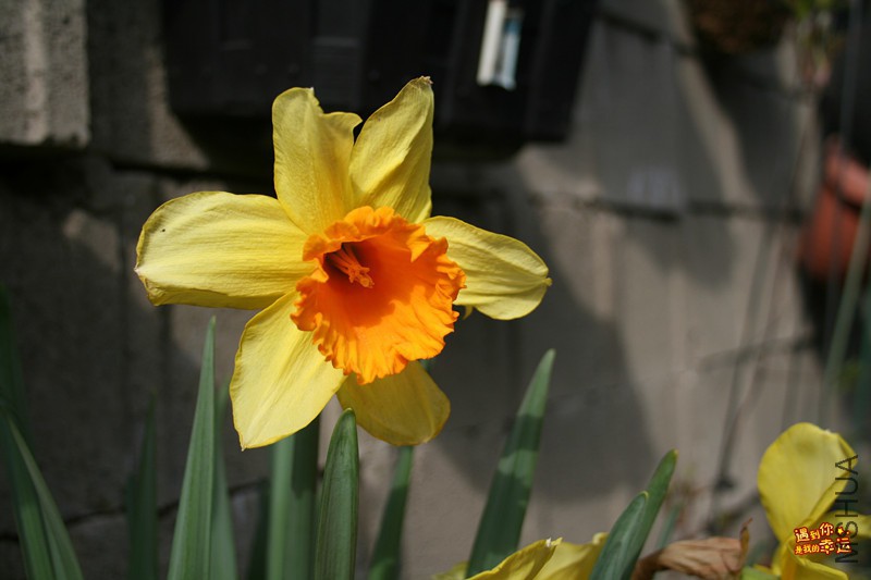 ��Ƭ 013_����.jpg