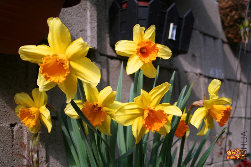 ��Ƭ 012_����.jpg