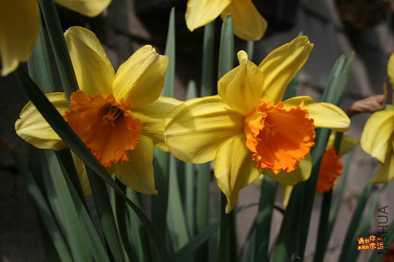 ��Ƭ 015_����.jpg