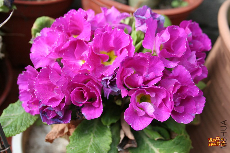 ��Ƭ 052_����.jpg