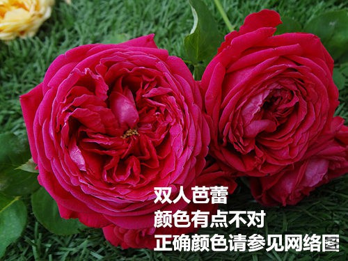 DSC04643_����С.jpg
