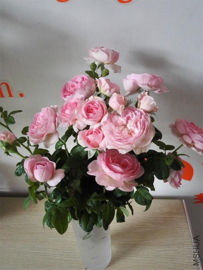 IMG_20150928_070131.jpg