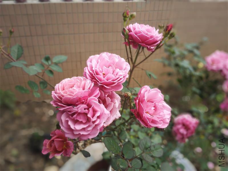 IMG_20160109_114611.jpg