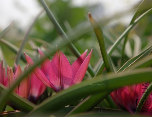 DSCF0891.jpg
