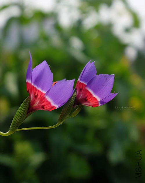DSCF0912.jpg