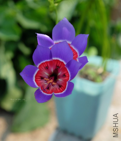 DSCF0933.jpg