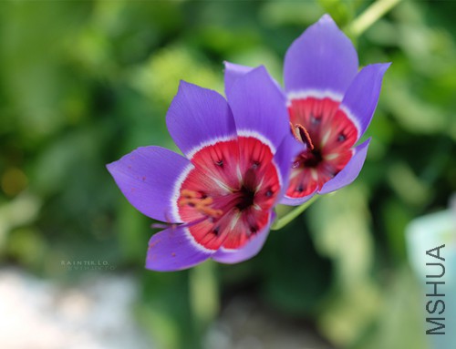 DSCF0934.jpg