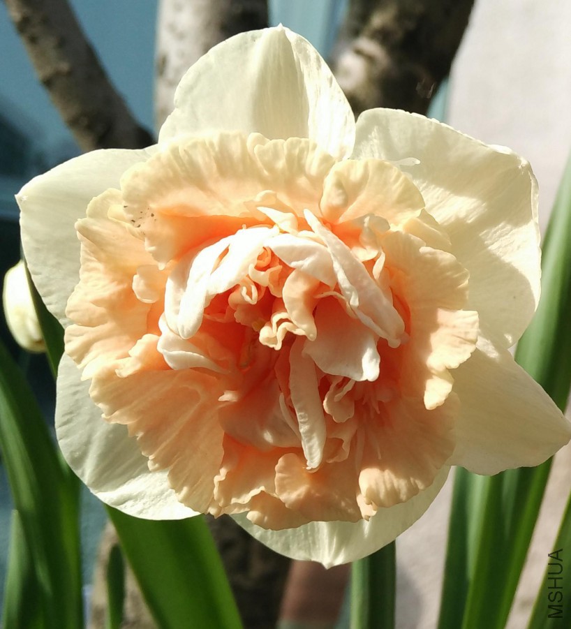3.5Ԫ���������ֵ��