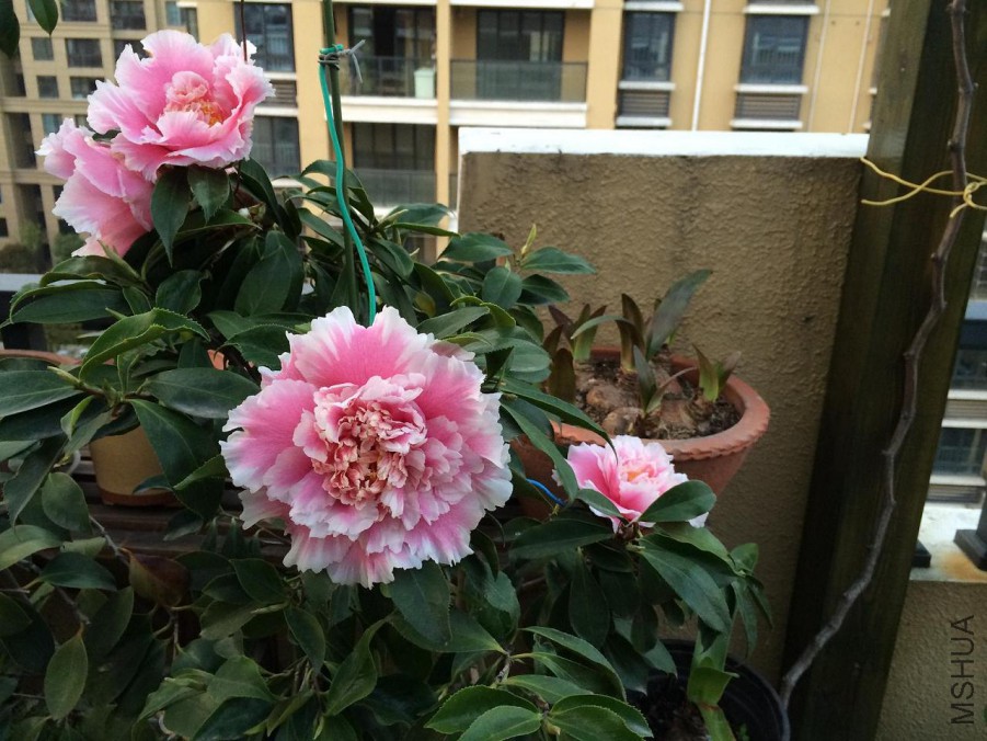 ��Ƭ 035.jpg