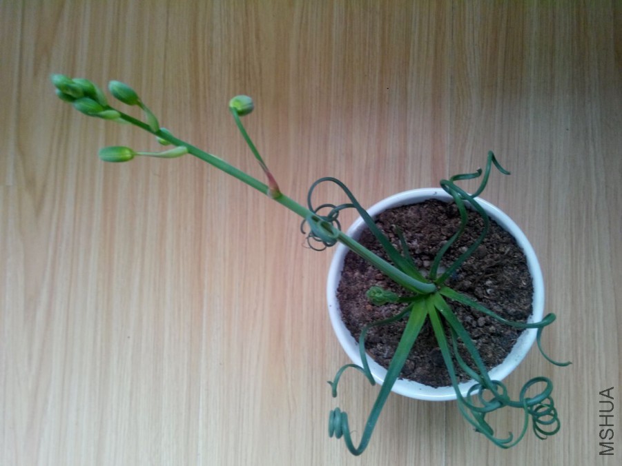 QQͼƬ20160328113457.jpg