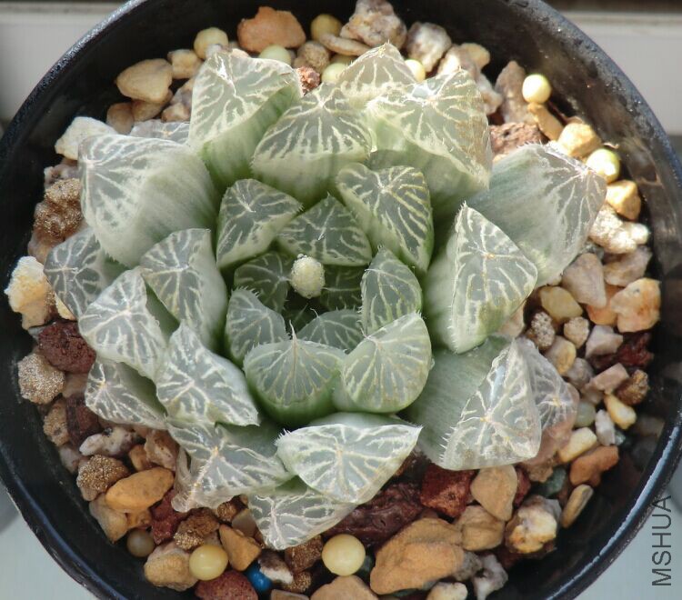 QQͼƬ20160328085147.jpg