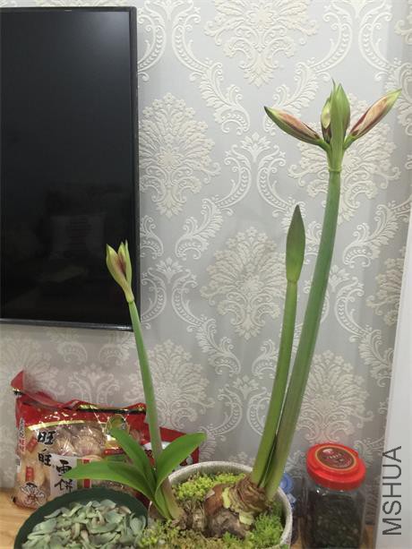 QQͼƬ20160328141454.jpg