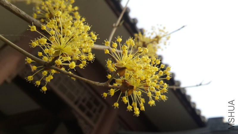 20160328_092351.jpg