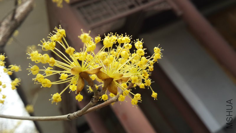 20160328_092412.jpg