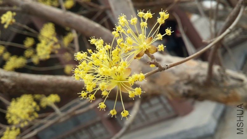 20160328_092500.jpg