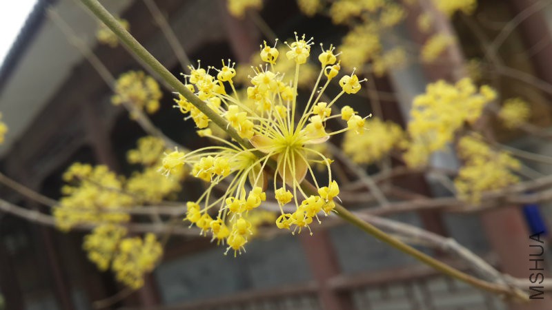 20160328_092715.jpg