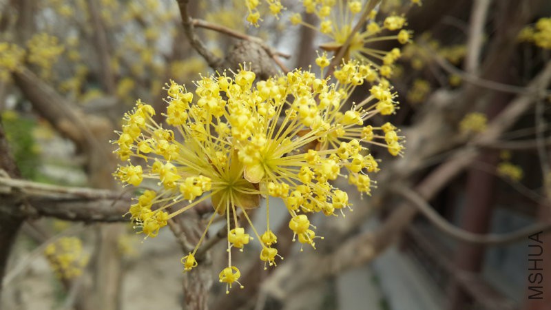 20160328_093033.jpg