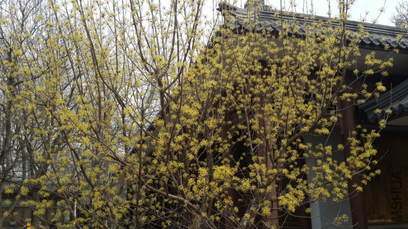 20160328_093240.jpg