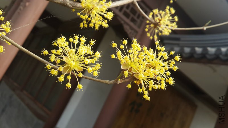 20160328_094001.jpg