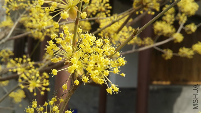 20160328_094053.jpg