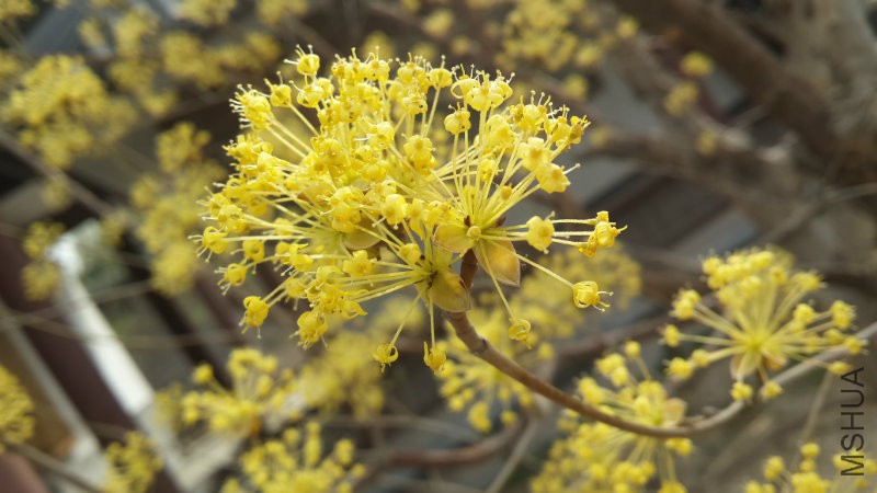 20160328_094544.jpg