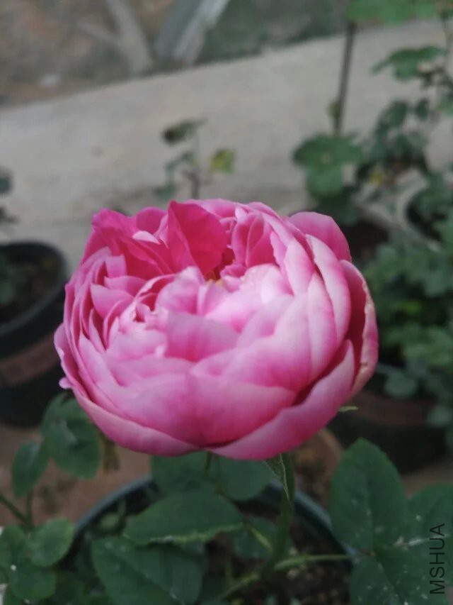 ���� ����