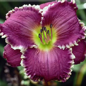 134a2b-300.jpg