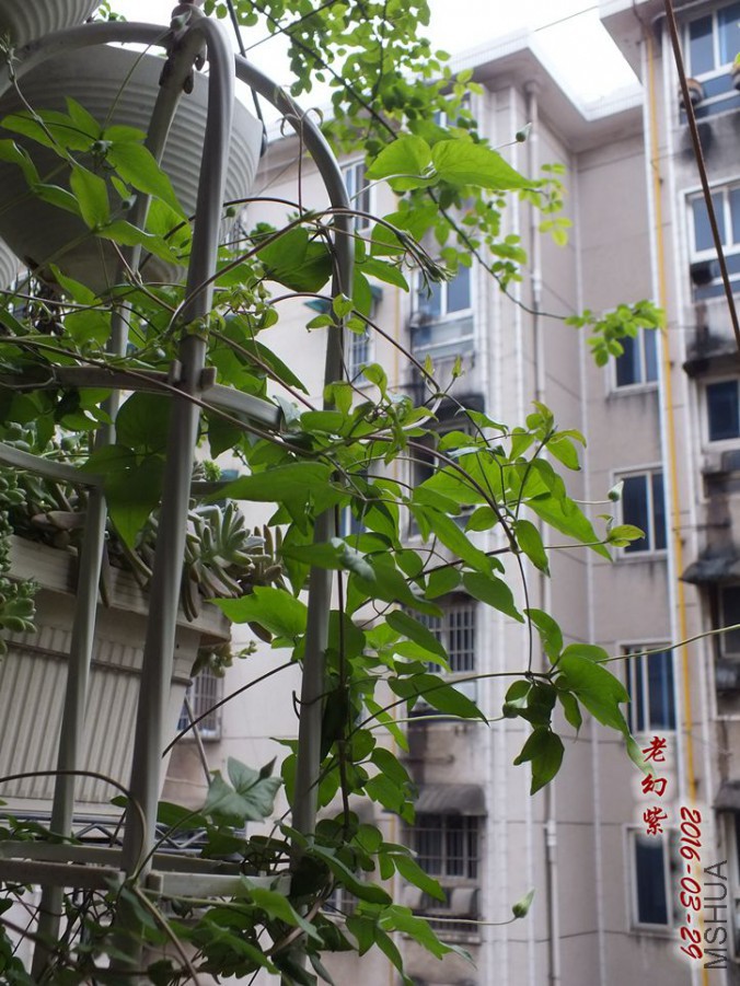 16.3.28�� 002_����.jpg