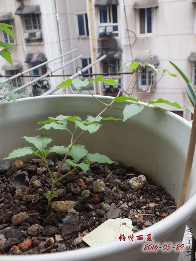 16.3.28�� 004_����.jpg