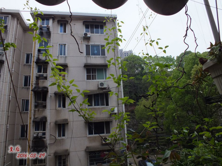 16.3.28�� 005_����.jpg