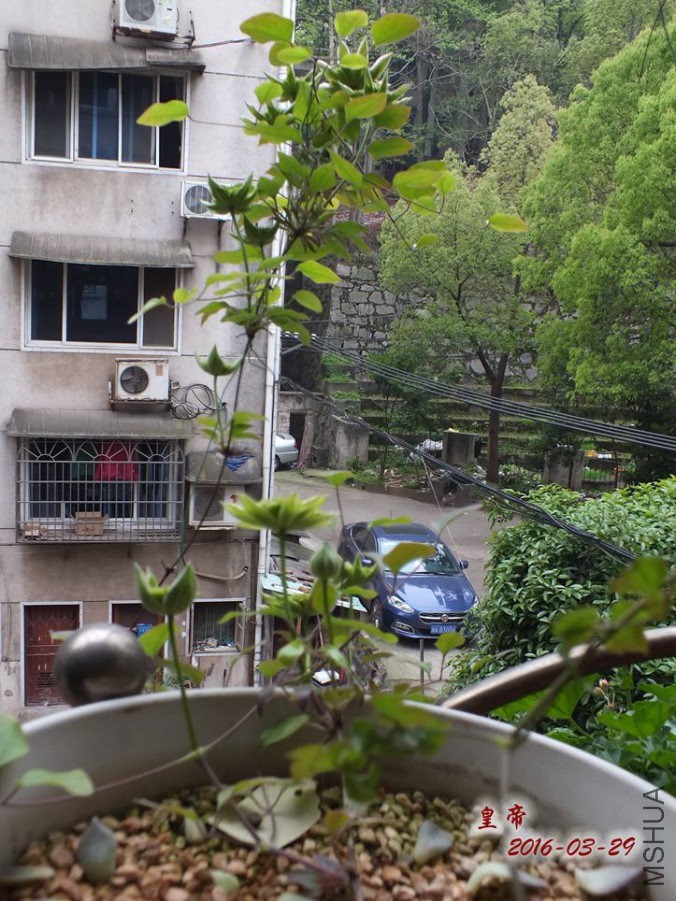 16.3.28�� 012_����.jpg