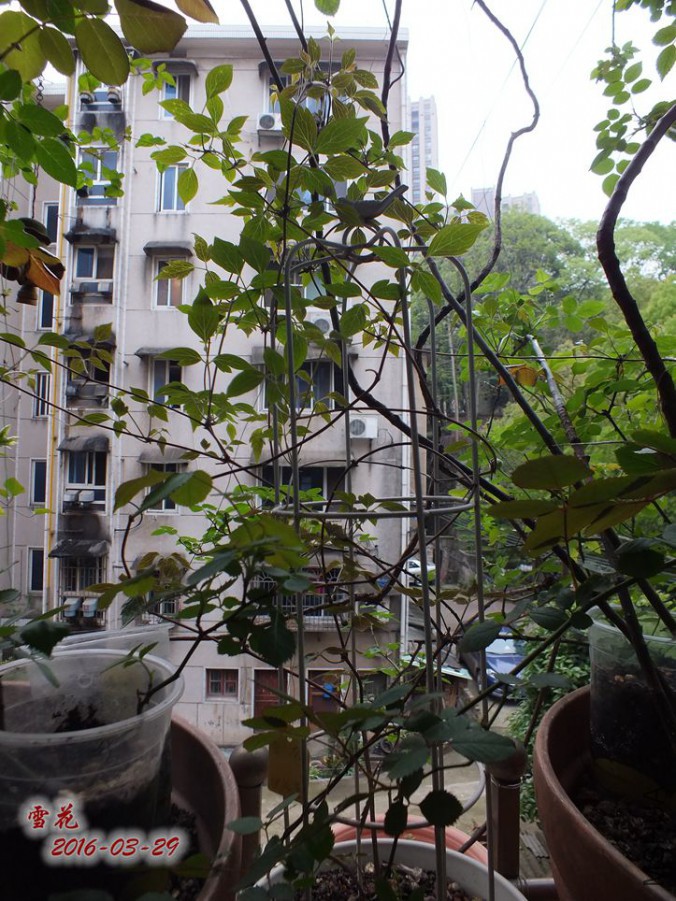 16.3.28�� 013_����.jpg