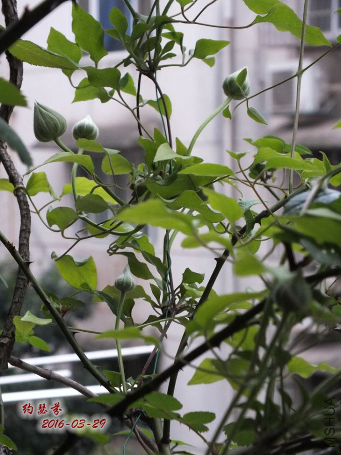 16.3.28�� 014_����.jpg