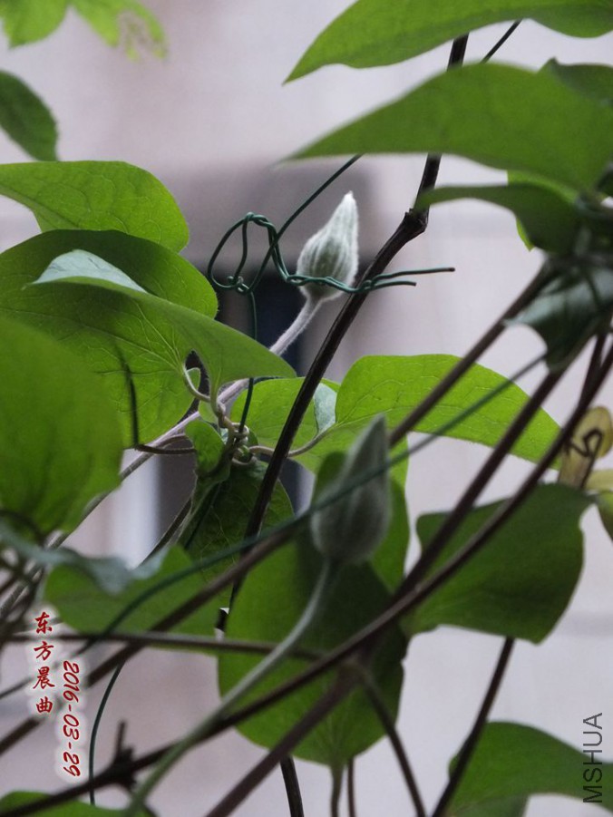 16.3.28�� 016_����.jpg