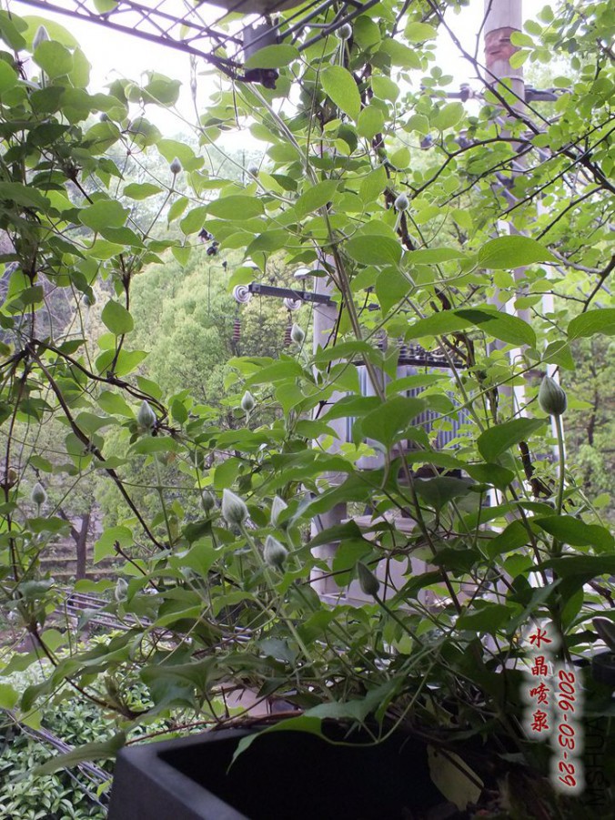 16.3.28�� 018_����.jpg