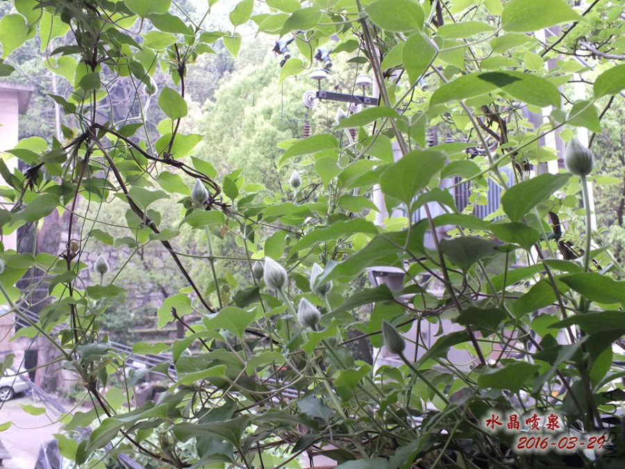 16.3.28�� 019_����.jpg