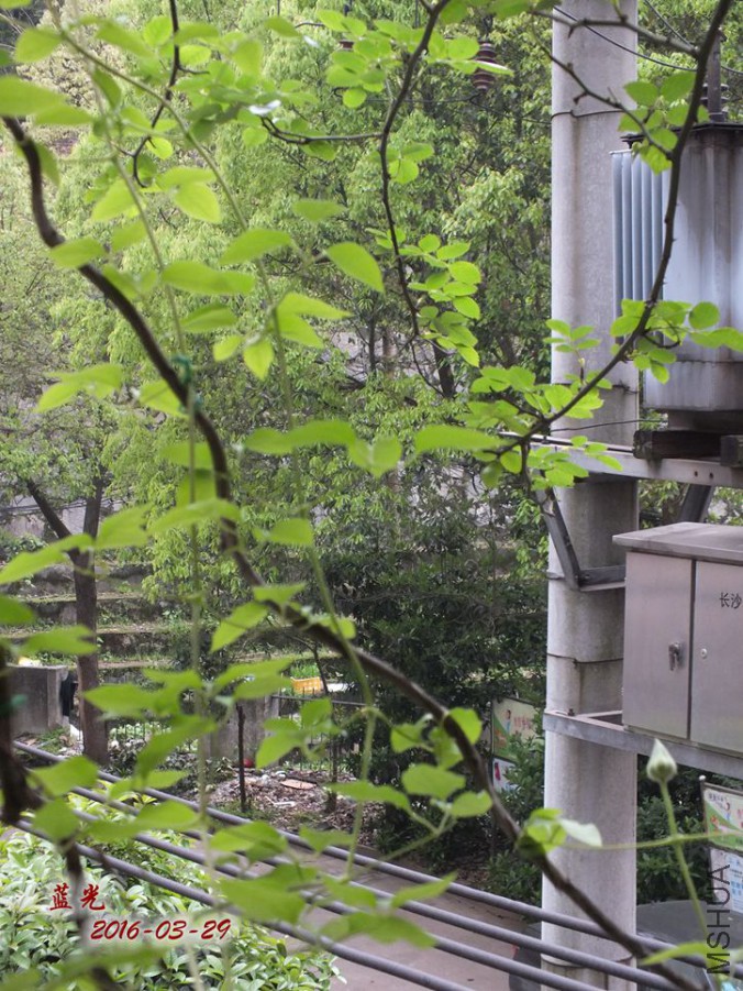 16.3.28�� 020_����.jpg