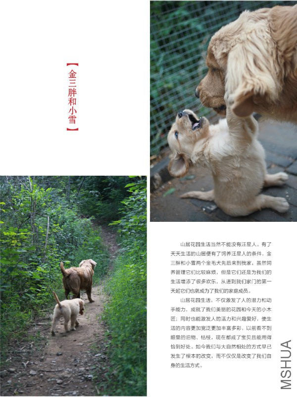 花也�