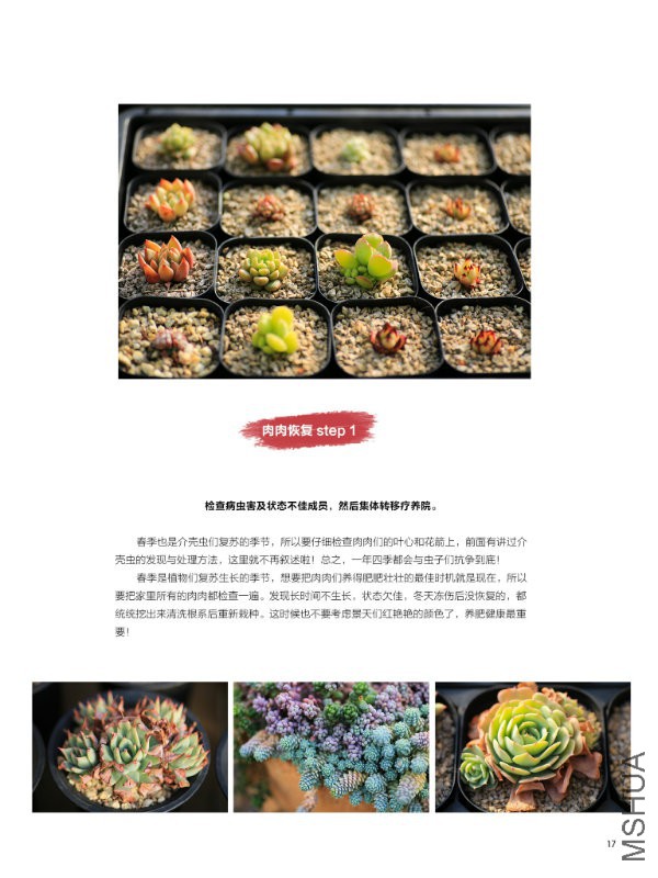 花也�