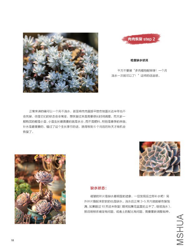 花也�
