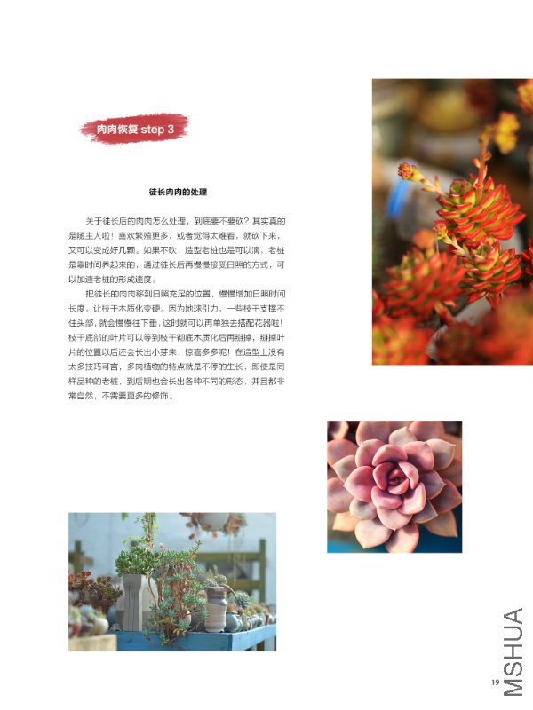 花也�
